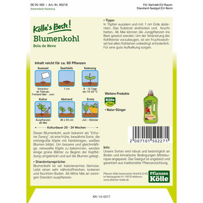 Kölles Beste Blumenkohl 'Erfurter Zwerg' Kölles Beste Blumenkohl 'Erfurter Zwerg'