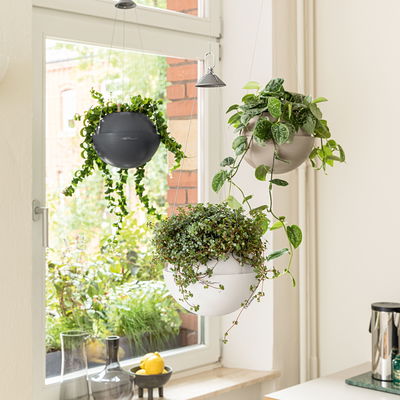 Lechuza 'Bola Color 32', sandbraun, ca. Ø 32 x H 25 cm Lechuza 'Bola Color 32', sandbraun, ca. Ø 32 x H 25 cm