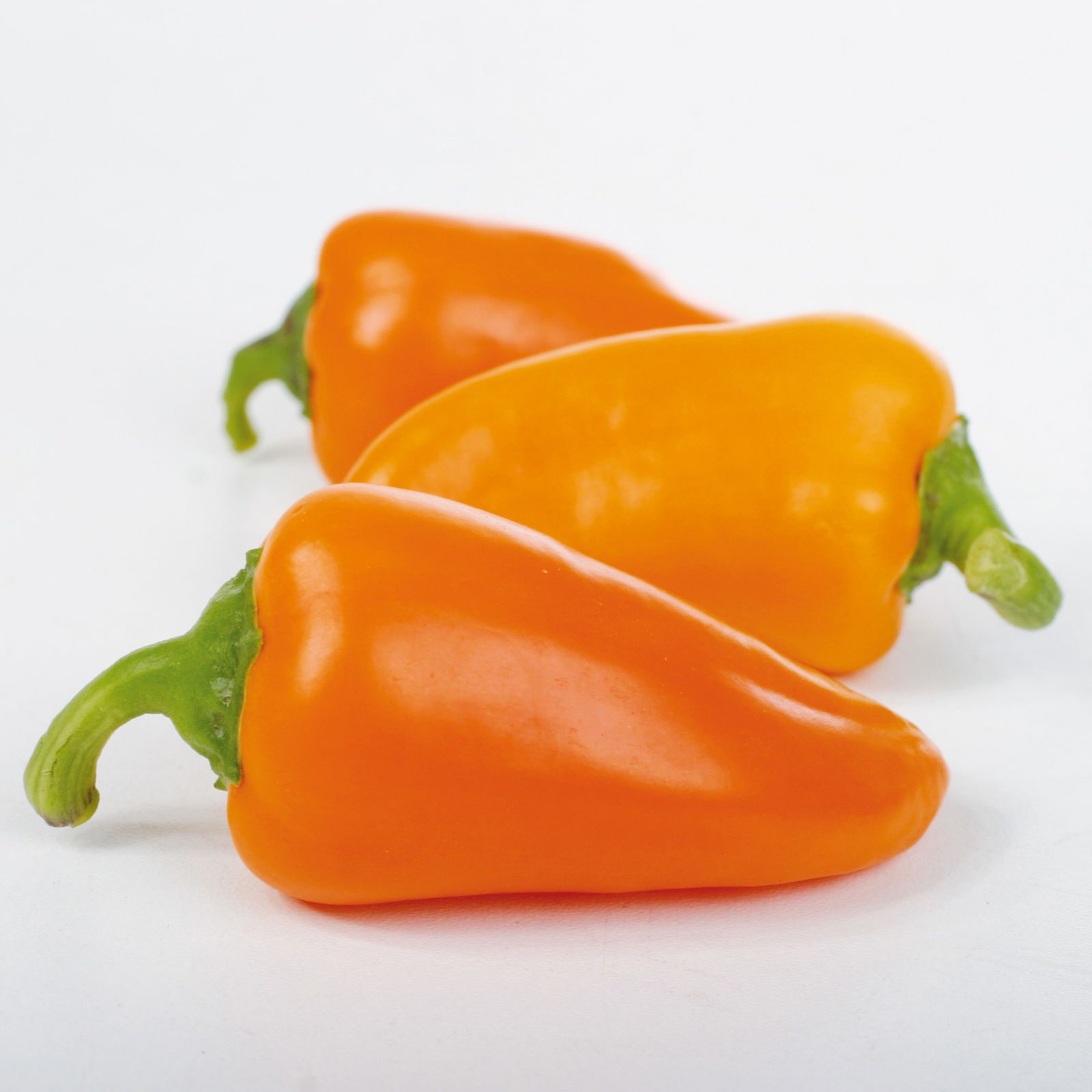 Snack-Paprika 'Midinor Red', 'Snackor Yellow', 'Snackor Orange' inkl. Greenbar®