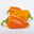 Snack-Paprika 'Midinor Red', 'Snackor Yellow', 'Snackor Orange' inkl. Greenbar®