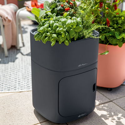 Lechuza 'Pila Color Planter', schiefergrau, ca. 35 x 35 x H 32,5 cm Lechuza 'Pila Color Planter', schiefergrau, ca. 35 x 35 x H 32,5 cm