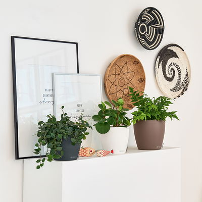 Lechuza 'Classico Color 18', muskat, ca. Ø 19 x H 17 cm