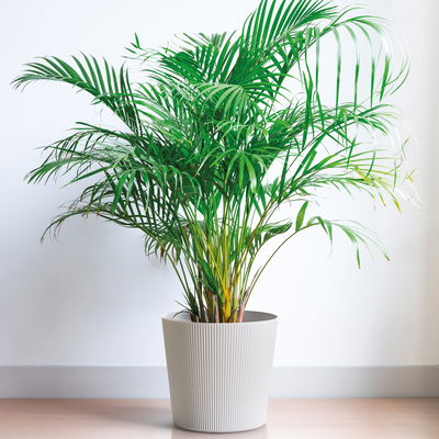 Euro 3 Plast Pflanzgefäß 'Fyre', weiß, ca. Ø 40 x H 39 cm