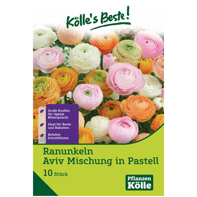 Ranunkeln-Mischung 'Aviv', pastell, Größe 7/+, 10 Blumenzwiebeln Ranunkeln-Mischung 'Aviv', pastell, Größe 7/+, 10 Blumenzwiebeln