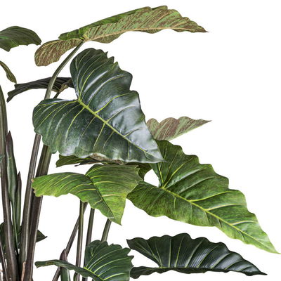 Kunstpflanze Taropflanze, Höhe ca. 260 cm Kunstpflanze Taropflanze, Höhe ca. 260 cm