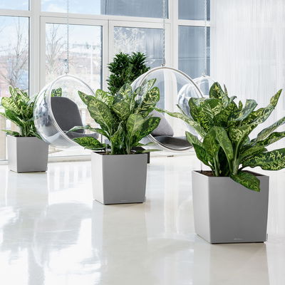 Lechuza 'Cube 50', silber, ca. 49 x 49 x H 49,5 cm