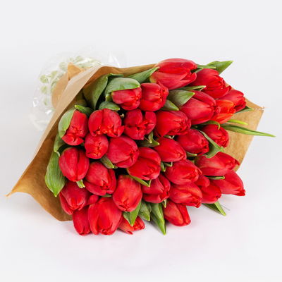 30 rote Tulpen