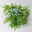 Polster-Glockenblume 'Adansa® White' weiß, Ampeltopf-Ø 19 cm