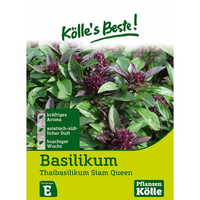 Kölles Beste Kräutersamen Thaibasilikum Siam Queen