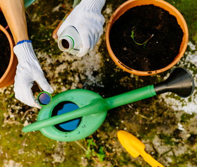 Kölle Bio Grünpflanzendünger & Palmendünger, 975 ml Kölle Bio Grünpflanzendünger & Palmendünger, 975 ml