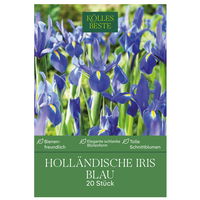 Holländische Iris, blau, 20 Blumenzwiebeln