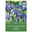 Holländische Iris, blau, 20 Blumenzwiebeln Holländische Iris, blau, 20 Blumenzwiebeln