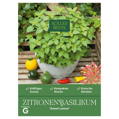 Kölles Beste Kräutersamen Zitronenbasilikum Sweet Lemon