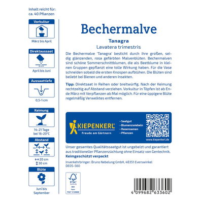Saatgut Bechermalve 'Tanagra Rosa'