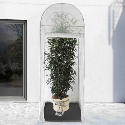 Winterschutz Frost-Schutzhaus 'Palm-Protect', transparent, 100 x 100 x H250 cm