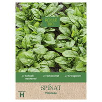 Kölles Beste Saatgut Spinat 'Monnopa', grün