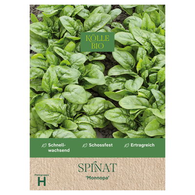 Kölles Beste Saatgut Spinat 'Monnopa', grün