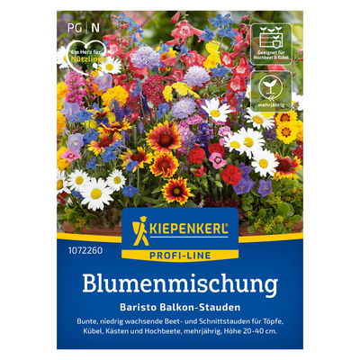 Saatgut, Blumenmischung Balkon-Stauden 'Baristo'