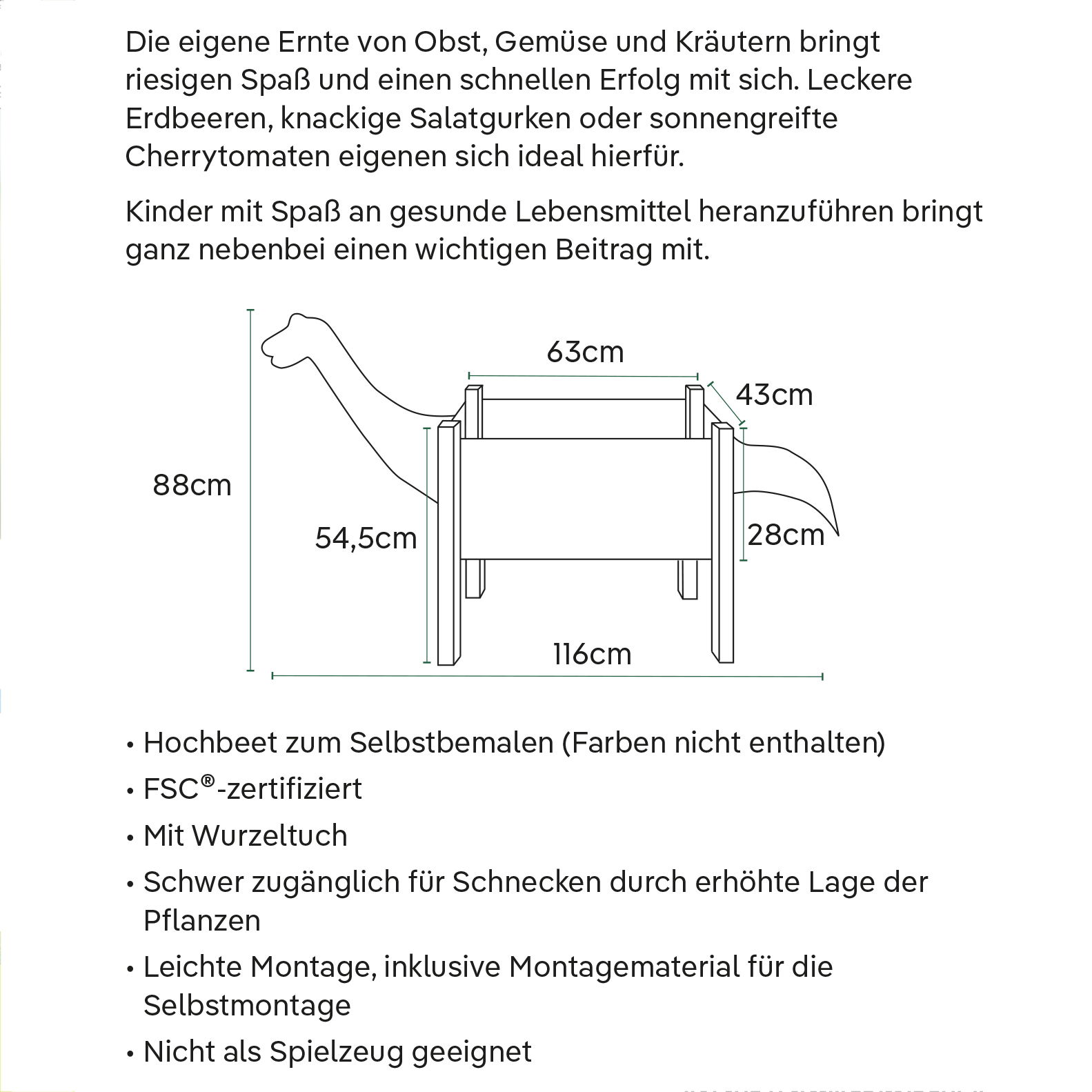 Kölle Kinderhochbeet 'Dino', natur, ca. 63 x 43 x H55 cm
