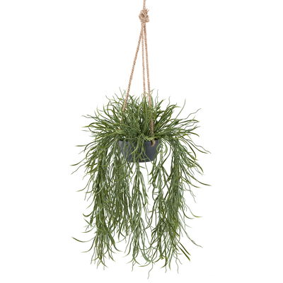 Kunstpflanze Rhipsalishänger, Höhe ca. 100 cm