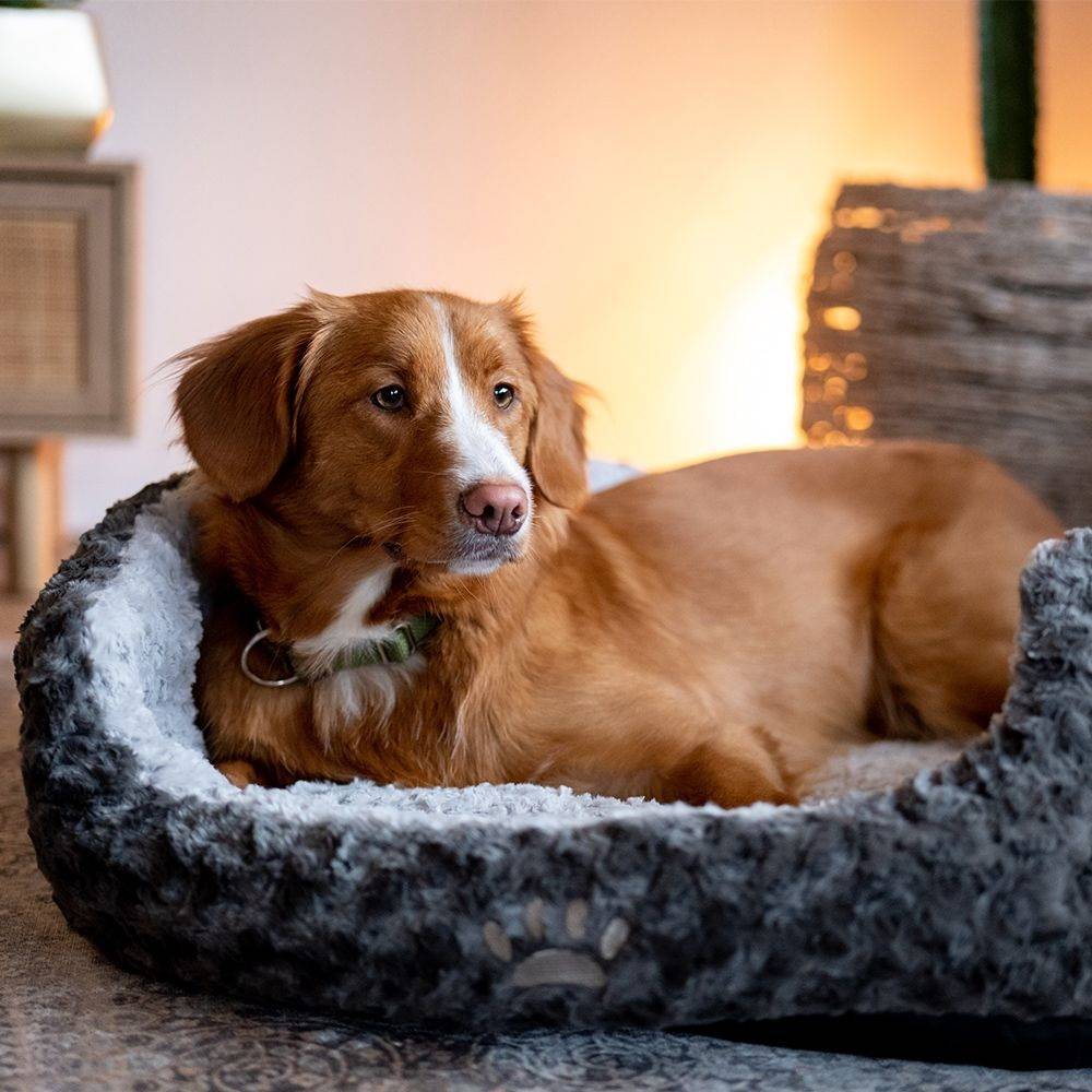 Nobby Komfortbett 'Seoli', grau, ca. 55 x 50 x 21 cm Nobby Komfortbett 'Seoli', grau, ca. 55 x 50 x 21 cm