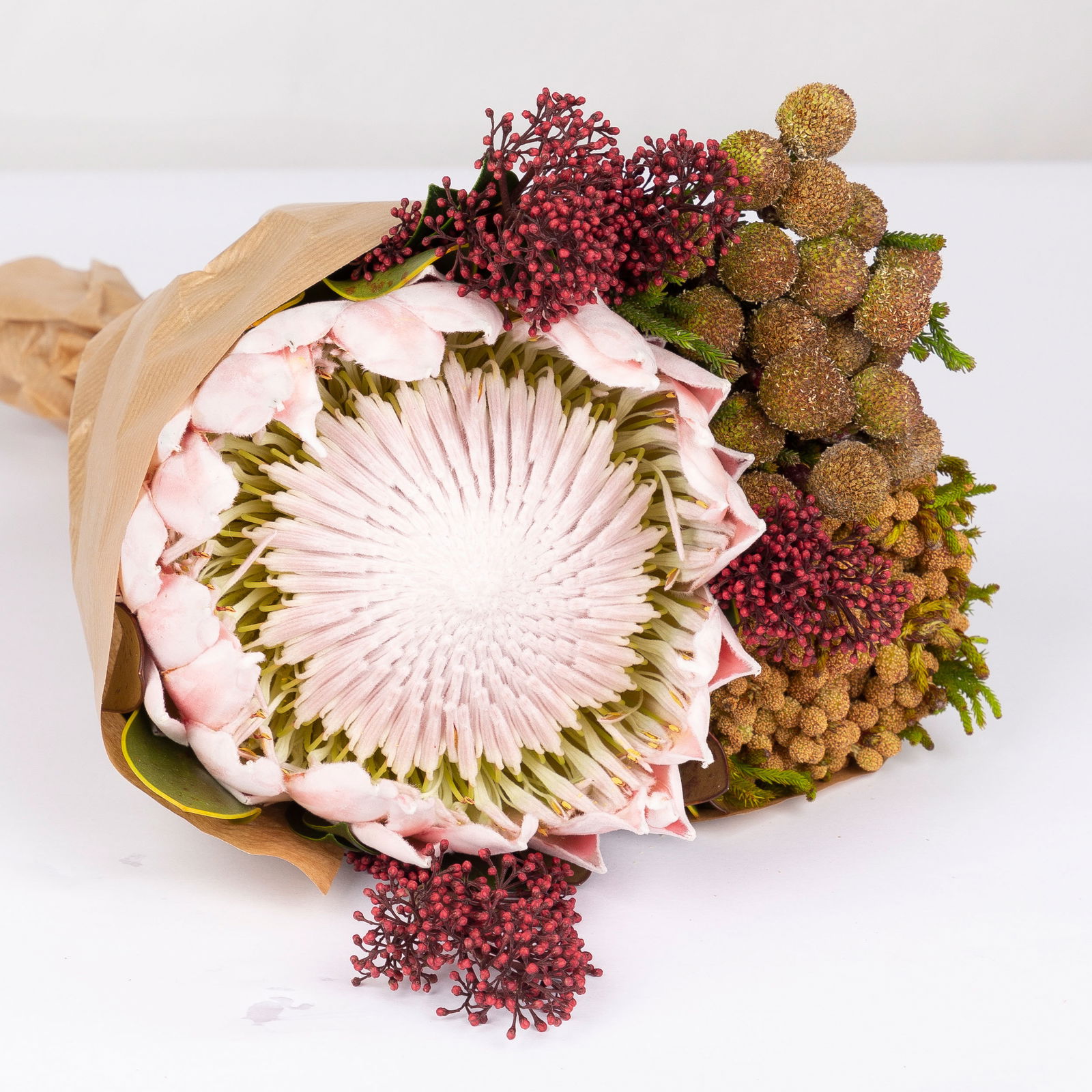 Blumenbund Protea King mit Skimmie und Kapgrün, inkl. gratis Grußkarte