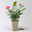 Duftende Edelrose 'Augusta Luise®', rose - aprikot, Topf 5 Liter Duftende Edelrose 'Augusta Luise®', rose - aprikot, Topf 5 Liter
