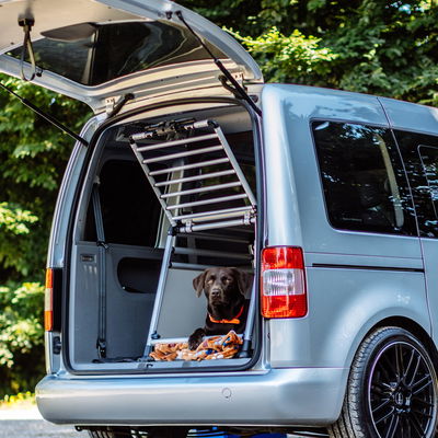 Nobby Auto-Transportbox 'Round Corner' S, Aluminium Nobby Auto-Transportbox 'Round Corner' S, Aluminium