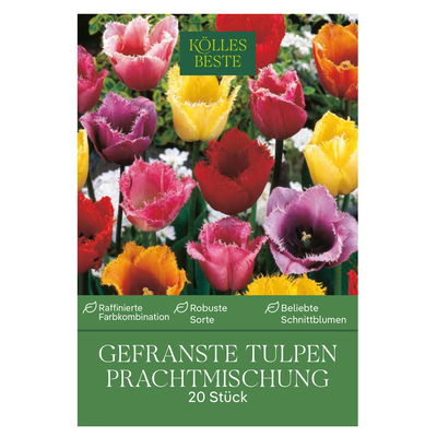 Gefranste Tulpen Prachtmischung, 20 Blumenzwiebeln