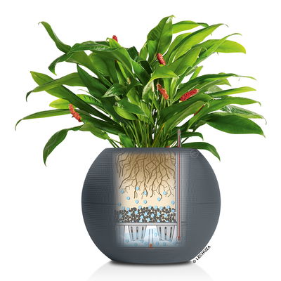 Lechuza 'Puro Color 50', schiefergrau, ca. Ø 50 x H 39 cm Lechuza 'Puro Color 50', schiefergrau, ca. Ø 50 x H 39 cm