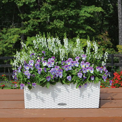 Lechuza 'Balconera Cottage 50', weiß, ca. 50 x 19 x H 19 cm Lechuza 'Balconera Cottage 50', weiß, ca. 50 x 19 x H 19 cm