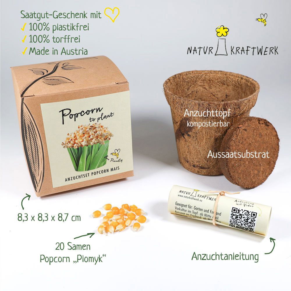 Saatgut Popcorn-Mais, gelb