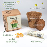 Saatgut Popcorn-Mais, gelb