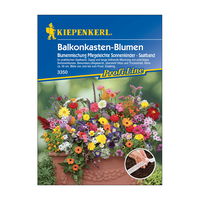 Blumensamen-Saatband, Balkonkastenblumen 'Pflegeleichte Sonnenkinder', bunt