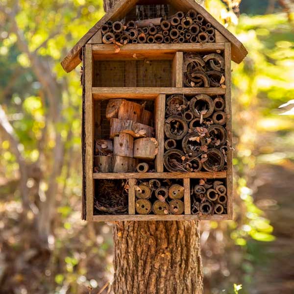 Insektenhotels