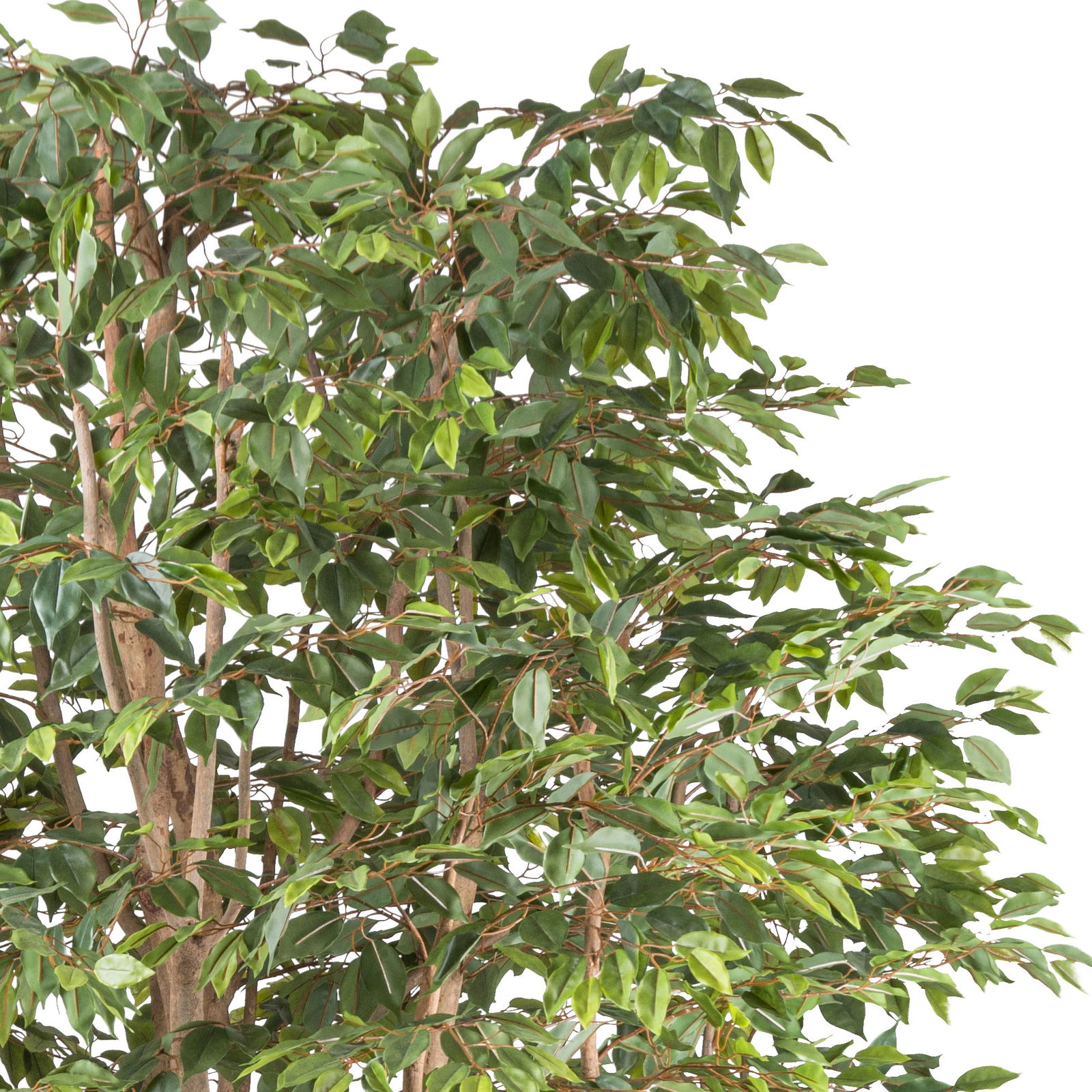 Kunstpflanze Ficus Benjamina, Höhe ca. 260 cm