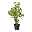 Kunstpflanze Pileapflanze, Höhe ca. 77 cm