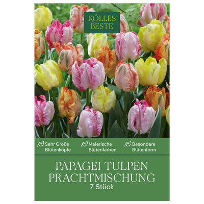 Papagei-Tulpen Prachtmischung, 7 Blumenzwiebeln Papagei-Tulpen Prachtmischung, 7 Blumenzwiebeln