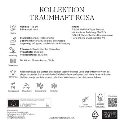 Tulpenkollektion 'Traumhaft Rosa', rosa, Größe 12+, 7/8, 22 Blumenzwiebeln