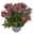 Hebe 'All Blooms®' rosa, Topf-Ø 17 cm