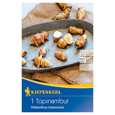 Kiepenkerl Topinambur, braun Kiepenkerl Topinambur, braun