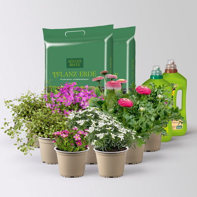 Pflanzenkreation Gartenromantik, 9 Pflanzen inkl. Erde und Dünger