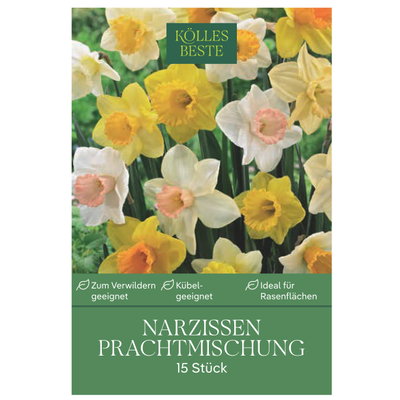 Kölles Beste Narzissen Prachtmischung 15 Blumenzwiebeln Kölles Beste Narzissen Prachtmischung 15 Blumenzwiebeln