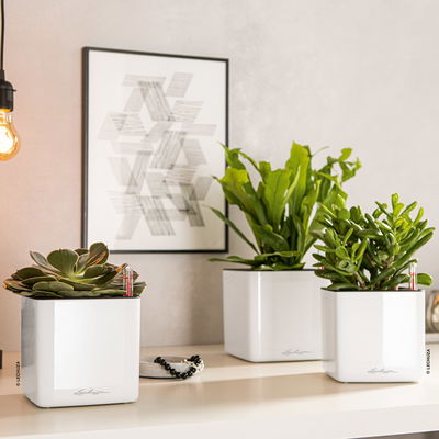 Lechuza 'Cube Glossy 14', weiß, ca. 14 x 14 x H 13,5 cm