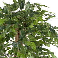 Künstlicher Ficus benjamina, Höhe ca. 85 cm