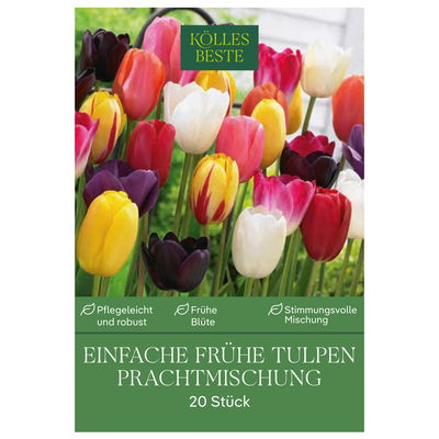 Einfache frühe Tulpen Prachtmischung, 20 Blumenzwiebeln Einfache frühe Tulpen Prachtmischung, 20 Blumenzwiebeln