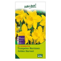 XXL Trompeten-Narzissen 'Golden Harvest', Größe 16/18, 3 Blumenzwiebeln
