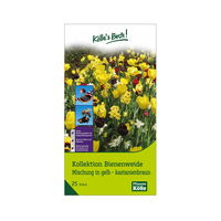 Bienenweide-Mischung Tulpe & Narzisse, gelb-kastanienbraun, 20 Blumenzwiebeln