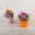 Workshop zu Rosenfreu