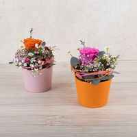 Workshop zu Rosenfreu